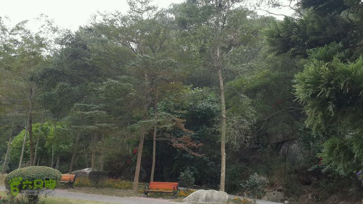 万石园林植物园（东门、国防园、花卉园、北门）2013-12-07 13:59:55