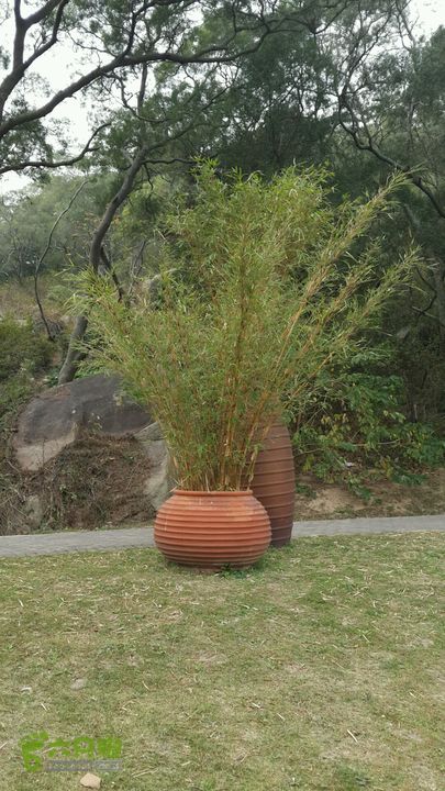 万石园林植物园（东门、国防园、花卉园、北门）2013-12-07 14:01:44