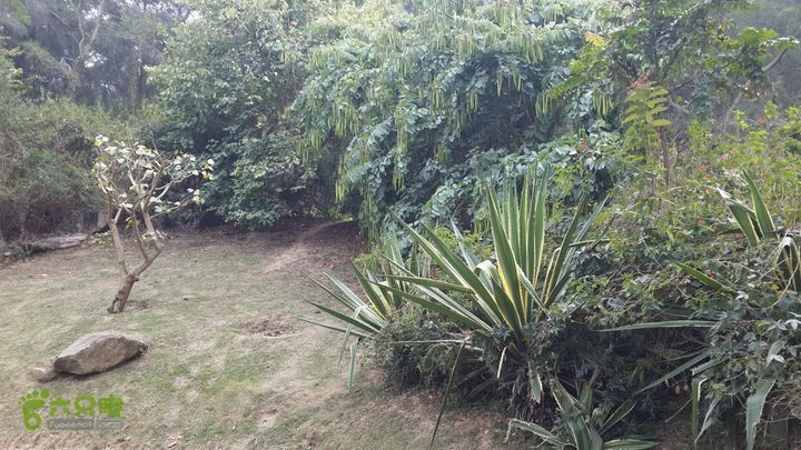 万石园林植物园（东门、国防园、花卉园、北门）2013-12-07 14:02:10