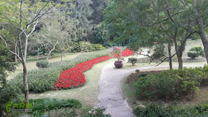 万石园林植物园（东门、国防园、花卉园、北门）2013-12-07 14:12:13