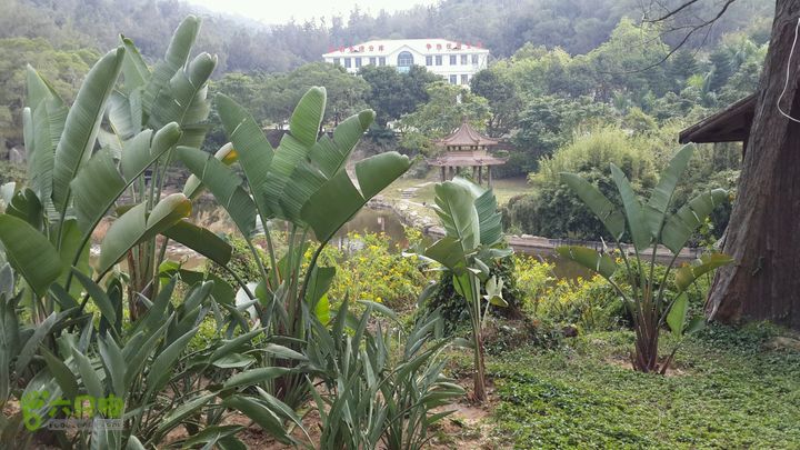 万石园林植物园（东门、国防园、花卉园、北门）2013-12-07 14:14:18