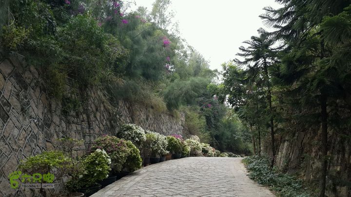 万石园林植物园（东门、国防园、花卉园、北门）2013-12-07 14:16:00