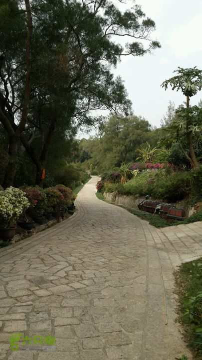 万石园林植物园（东门、国防园、花卉园、北门）2013-12-07 14:16:56