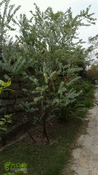 万石园林植物园（东门、国防园、花卉园、北门）2013-12-07 14:19:54