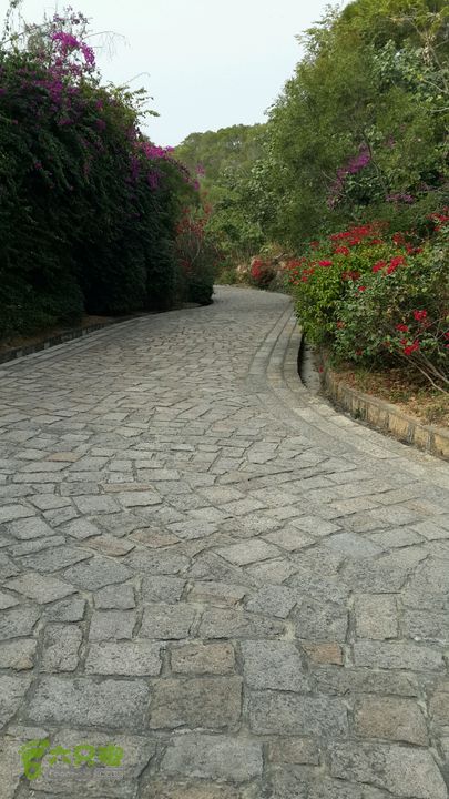 万石园林植物园（东门、国防园、花卉园、北门）2013-12-07 14:22:41