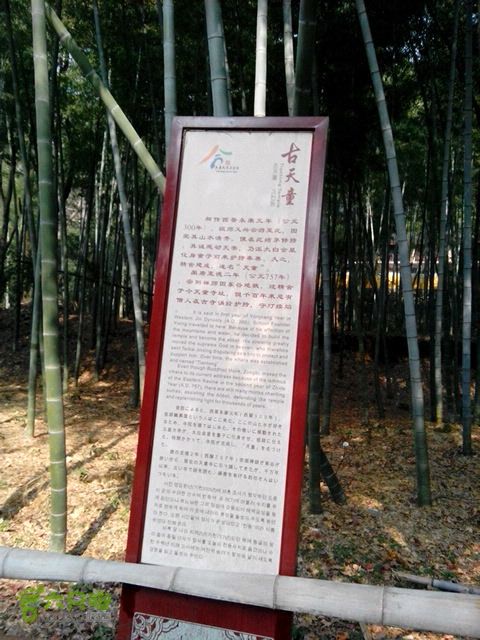 上坡：天童_太白山_北仑太白坡_何俞村_古天童环线古天童