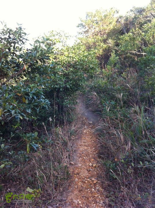 重登排牙山：高大村-排牙山-坪埔村从主峰下山。