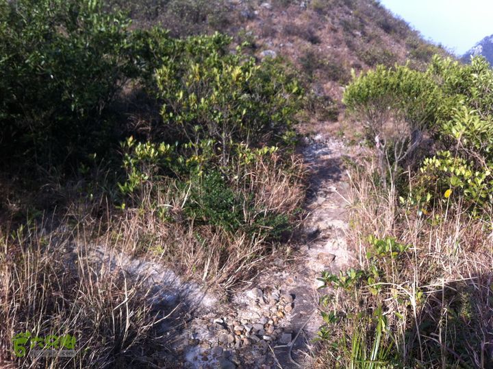 重登排牙山：高大村-排牙山-坪埔村岔路右行，从主峰前面山峰的脚下绕行。