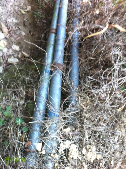 重登排牙山：高大村-排牙山-坪埔村顺着水管走。