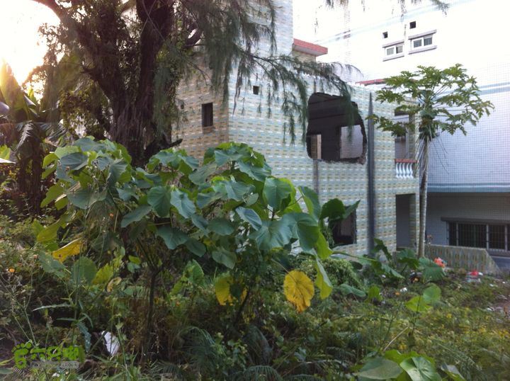 重登排牙山：高大村-排牙山-坪埔村平铺村。