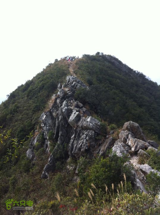 重登排牙山：高大村-排牙山-坪埔村翻过前面的峰开始“刷牙”。
