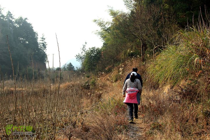 20131221永康独松—方山顶—金竹降（上、下）—上里叶nEO_IMG_IMG_1583