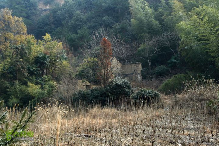 20131221永康独松—方山顶—金竹降（上、下）—上里叶nEO_IMG_IMG_1584