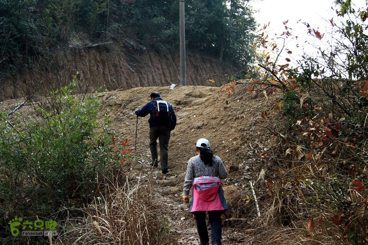 20131221永康独松—方山顶—金竹降（上、下）—上里叶nEO_IMG_IMG_1585