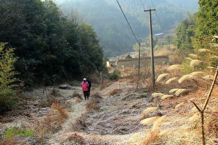 20131221永康独松—方山顶—金竹降（上、下）—上里叶nEO_IMG_IMG_1590