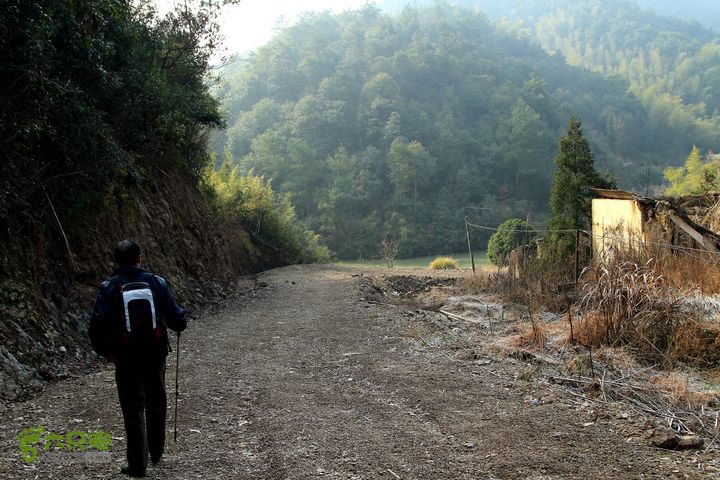 20131221永康独松—方山顶—金竹降（上、下）—上里叶nEO_IMG_IMG_1592