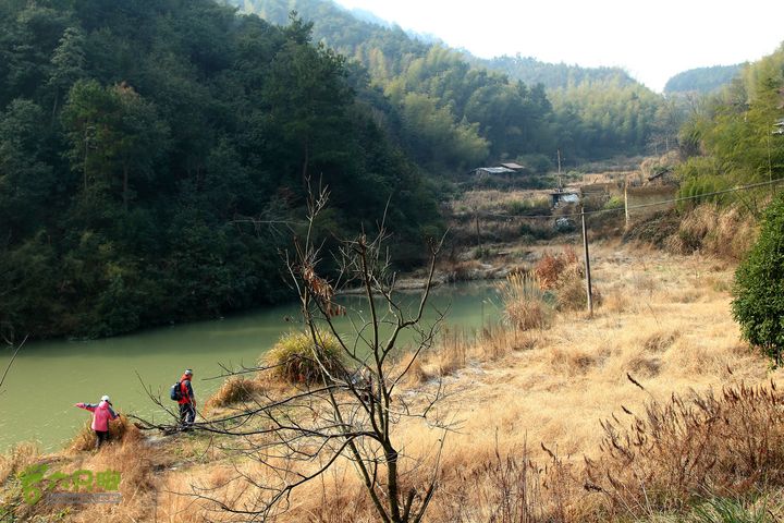 20131221永康独松—方山顶—金竹降（上、下）—上里叶nEO_IMG_IMG_1594