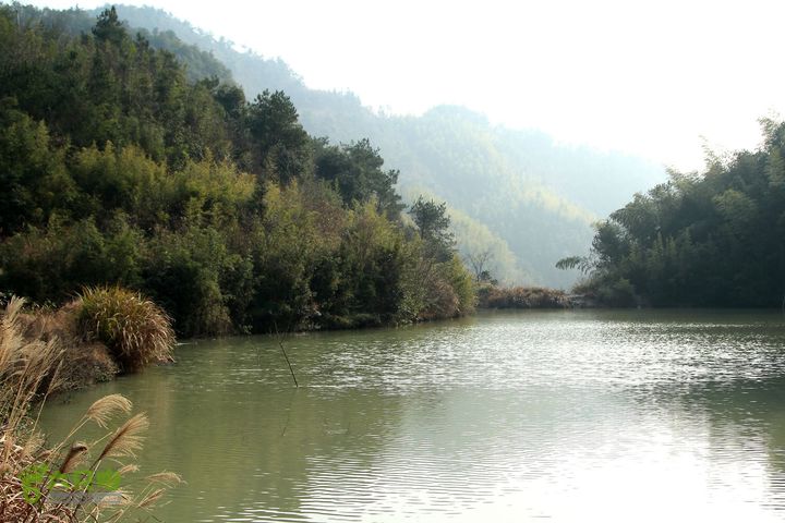 20131221永康独松—方山顶—金竹降（上、下）—上里叶nEO_IMG_IMG_1596