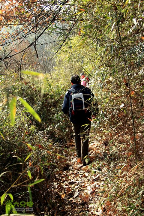 20131221永康独松—方山顶—金竹降（上、下）—上里叶nEO_IMG_IMG_1602