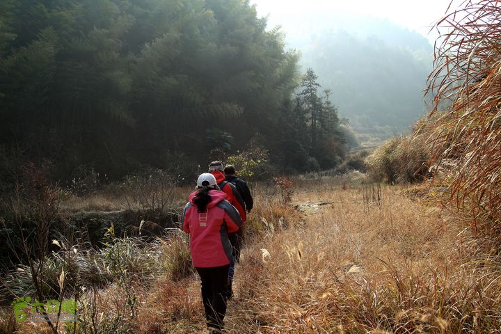 20131221永康独松—方山顶—金竹降（上、下）—上里叶nEO_IMG_IMG_1618