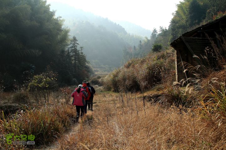 20131221永康独松—方山顶—金竹降（上、下）—上里叶nEO_IMG_IMG_1619