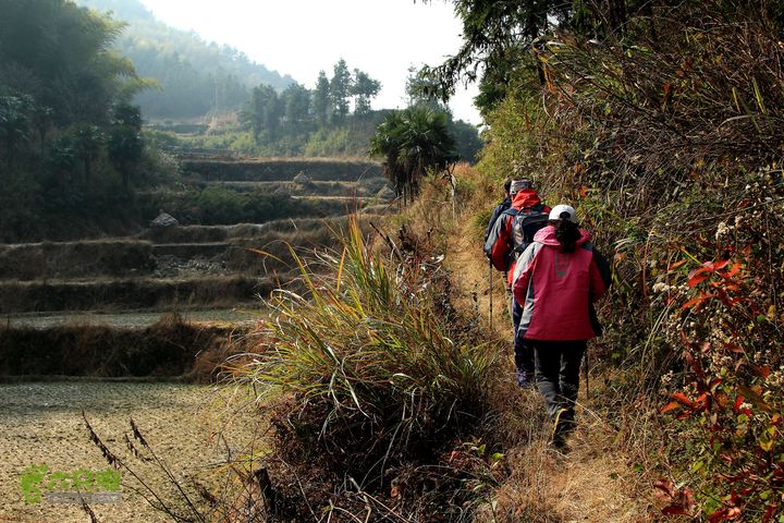20131221永康独松—方山顶—金竹降（上、下）—上里叶nEO_IMG_IMG_1627