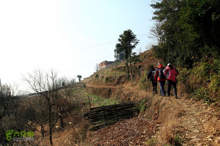 20131221永康独松—方山顶—金竹降（上、下）—上里叶nEO_IMG_IMG_1638