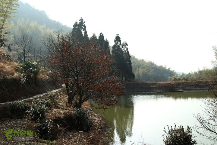 20131221永康独松—方山顶—金竹降（上、下）—上里叶nEO_IMG_IMG_1641