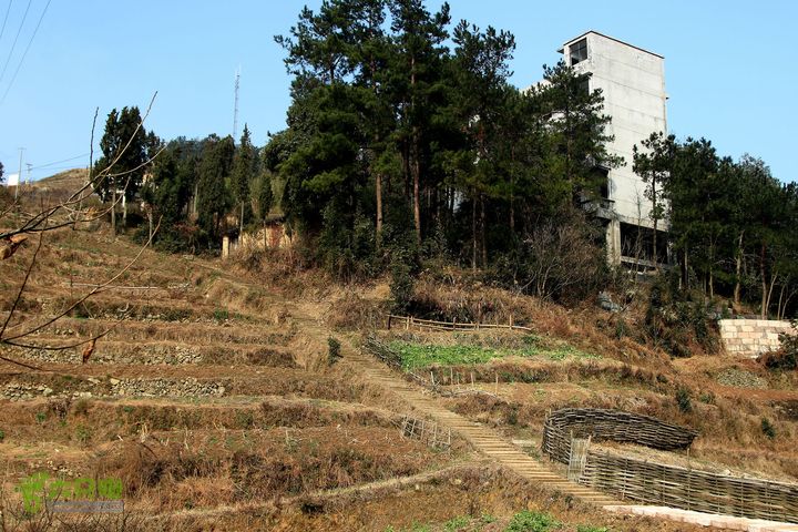 20131221永康独松—方山顶—金竹降（上、下）—上里叶nEO_IMG_IMG_1642