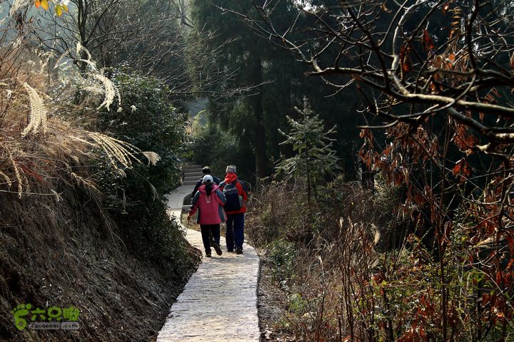 20131221永康独松—方山顶—金竹降（上、下）—上里叶nEO_IMG_IMG_1643
