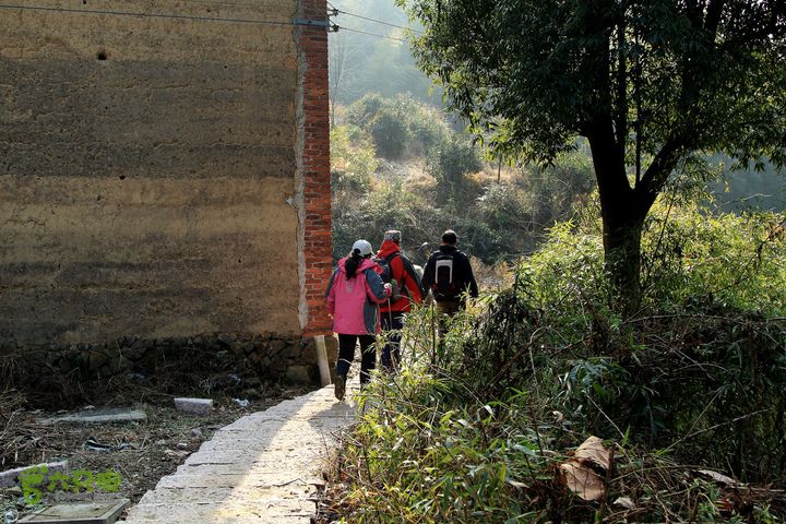 20131221永康独松—方山顶—金竹降（上、下）—上里叶nEO_IMG_IMG_1645