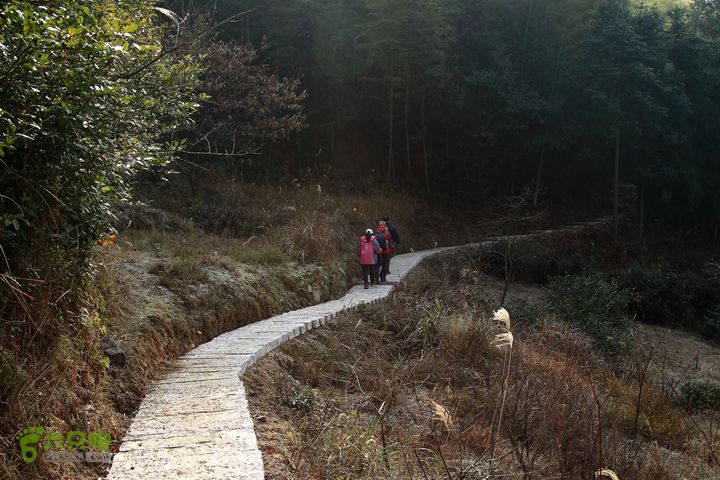 20131221永康独松—方山顶—金竹降（上、下）—上里叶nEO_IMG_IMG_1647