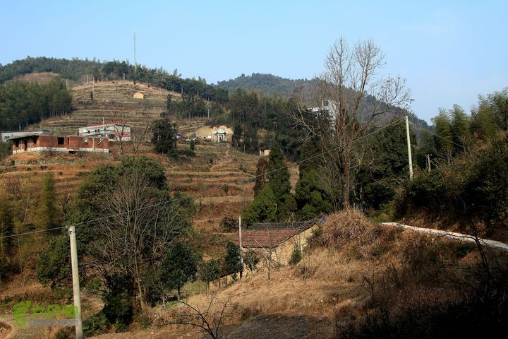 20131221永康独松—方山顶—金竹降（上、下）—上里叶nEO_IMG_IMG_1648