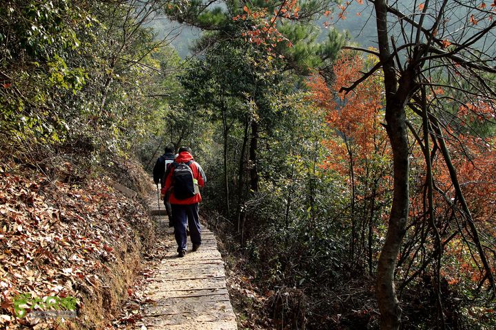 20131221永康独松—方山顶—金竹降（上、下）—上里叶nEO_IMG_IMG_1653