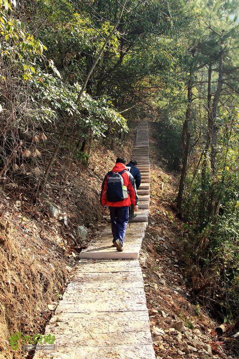 20131221永康独松—方山顶—金竹降（上、下）—上里叶nEO_IMG_IMG_1655