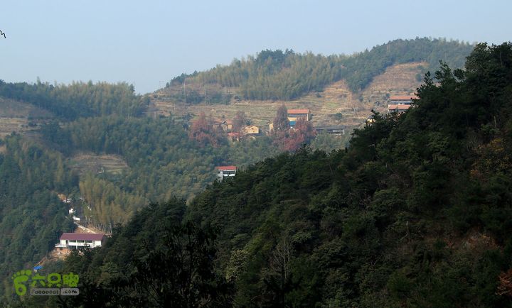 20131221永康独松—方山顶—金竹降（上、下）—上里叶nEO_IMG_IMG_1657