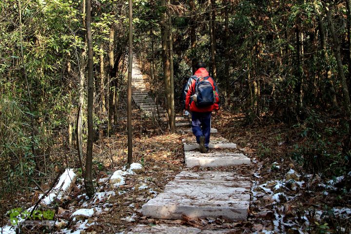 20131221永康独松—方山顶—金竹降（上、下）—上里叶nEO_IMG_IMG_1676