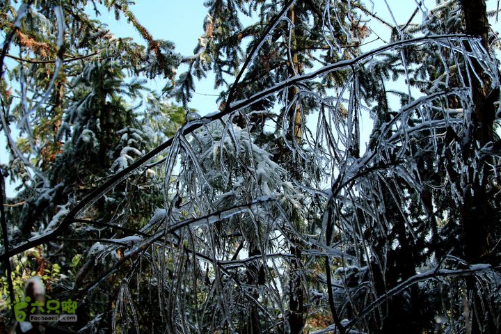 20131221永康独松—方山顶—金竹降（上、下）—上里叶nEO_IMG_IMG_1687