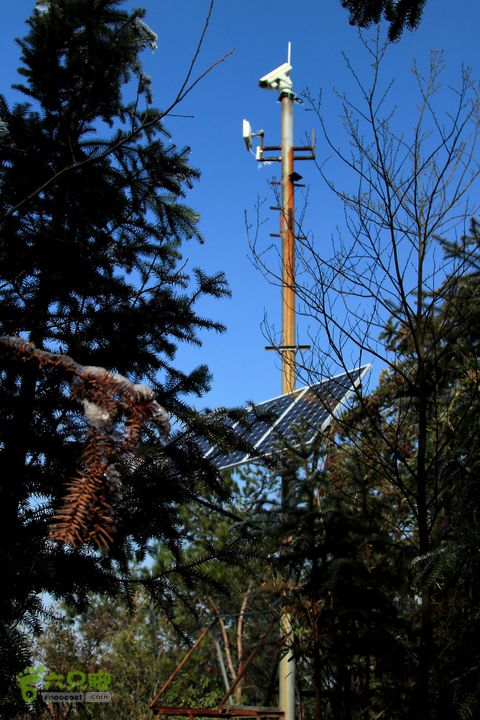 20131221永康独松—方山顶—金竹降（上、下）—上里叶nEO_IMG_IMG_1692