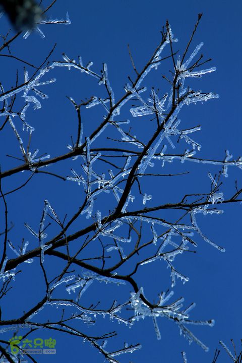 20131221永康独松—方山顶—金竹降（上、下）—上里叶nEO_IMG_IMG_1697