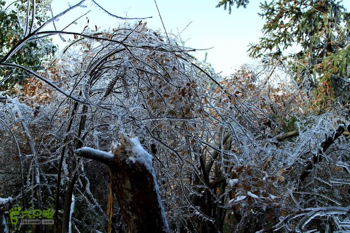 20131221永康独松—方山顶—金竹降（上、下）—上里叶nEO_IMG_IMG_1698
