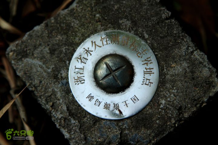 20131221永康独松—方山顶—金竹降（上、下）—上里叶nEO_IMG_IMG_1703