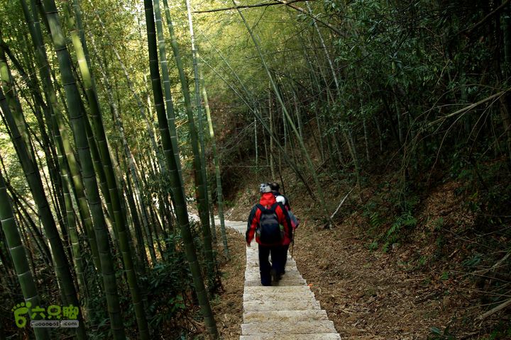 20131221永康独松—方山顶—金竹降（上、下）—上里叶nEO_IMG_IMG_1722