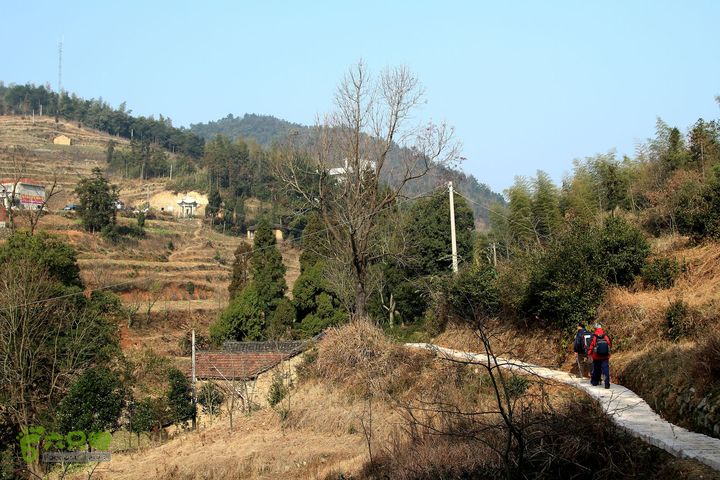20131221永康独松—方山顶—金竹降（上、下）—上里叶nEO_IMG_IMG_1723