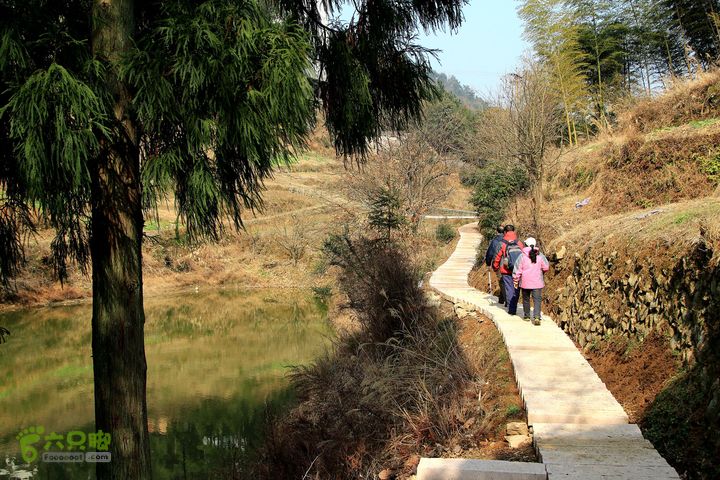 20131221永康独松—方山顶—金竹降（上、下）—上里叶nEO_IMG_IMG_1725