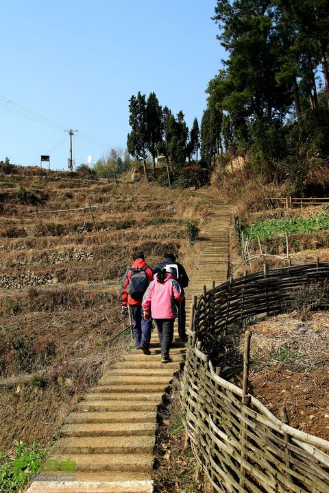 20131221永康独松—方山顶—金竹降（上、下）—上里叶nEO_IMG_IMG_1726