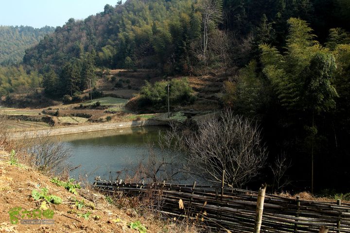 20131221永康独松—方山顶—金竹降（上、下）—上里叶nEO_IMG_IMG_1727