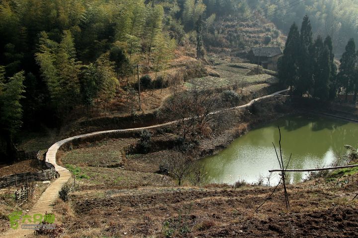 20131221永康独松—方山顶—金竹降（上、下）—上里叶nEO_IMG_IMG_1728