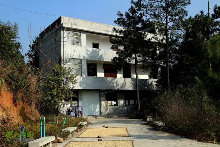 20131221永康独松—方山顶—金竹降（上、下）—上里叶nEO_IMG_IMG_1731