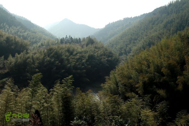 20131221永康独松—方山顶—金竹降（上、下）—上里叶nEO_IMG_IMG_1733